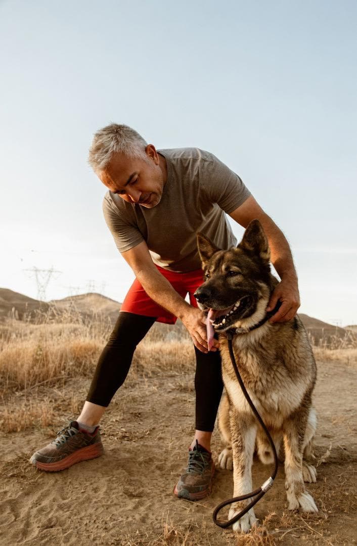 Atlas, a Wolfsong success story